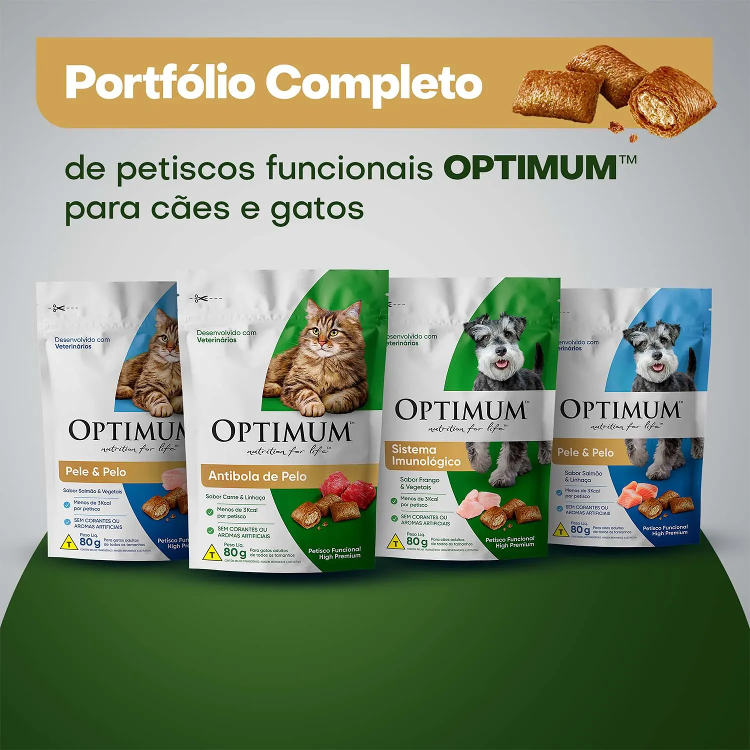 Portifolio-Completo