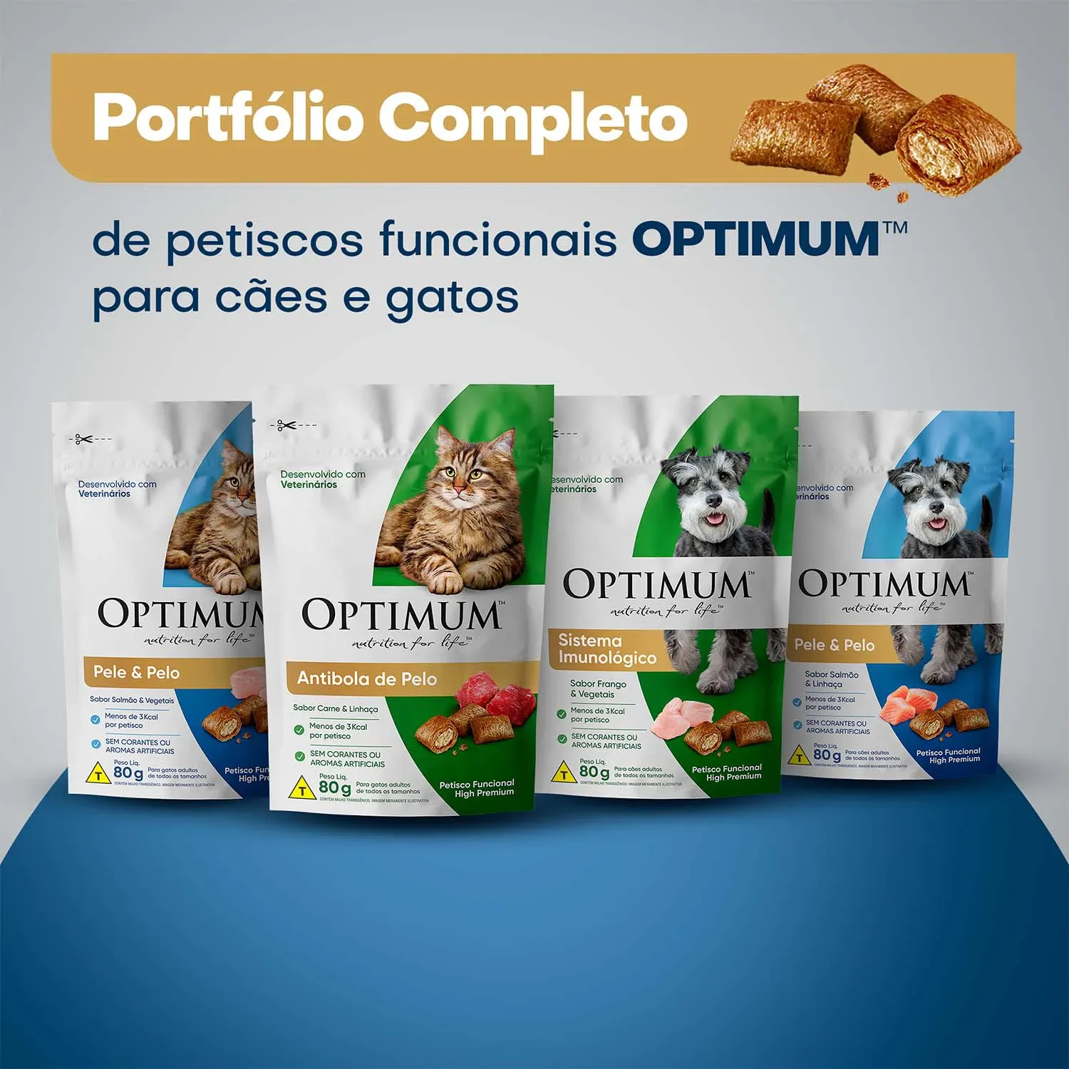 Portifolio-Completo