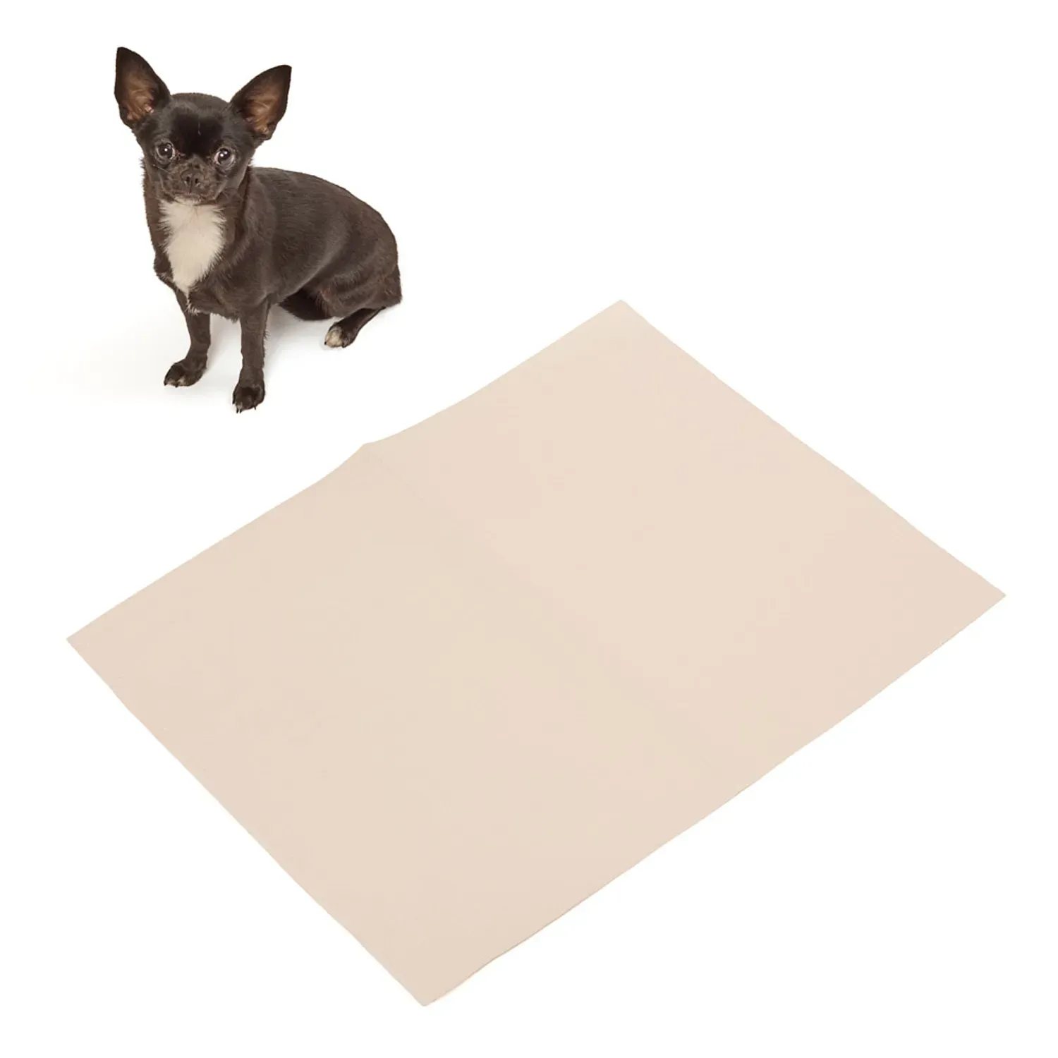 Jornal Liso para Pet Pets Paper