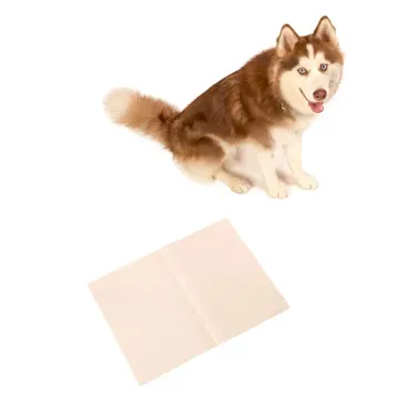 Jornal-Liso-para-Pet-Pets-Paper-50-Folhas-Husky-em-Pe