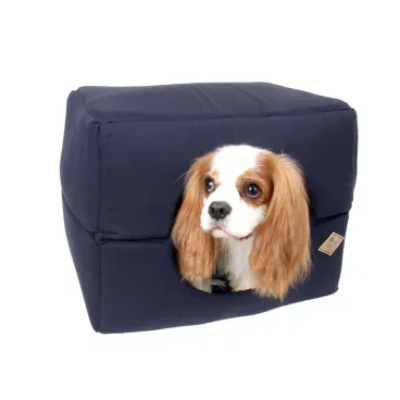 4-Cama-e-Casa-para-Caes-Bichinho-Chic-Azul