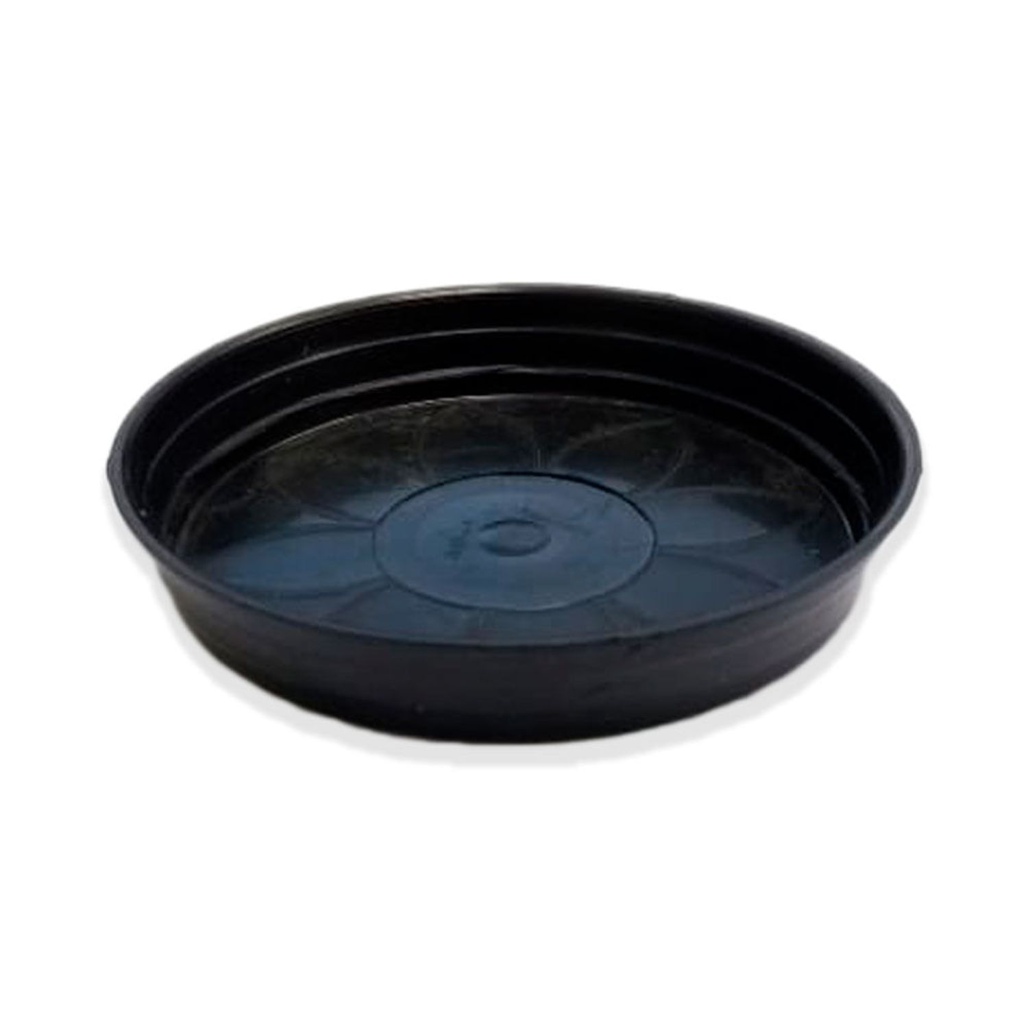 Prato-Preto-Violeta-Nutriplan-2