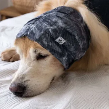 Pet-deitado-na-cama-e-usando-o-Protetor-para-Ouvidos-Oto-Calm-Protector-para-Caes-Pet-Med-Cinza