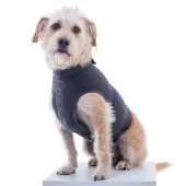 Colete Calm Pet para Cães Pet Med Chumbo