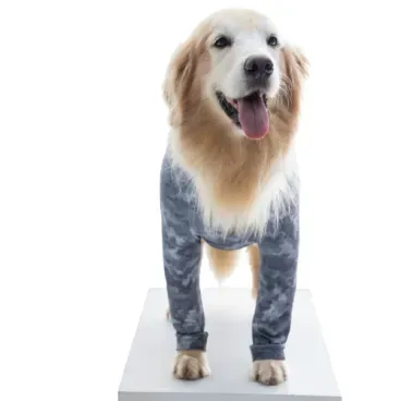 Pet-em-pe-e-de-frente-usando-o-Protetor-para-Membros-Anterior-e-Peito-para-Caes-Pet-Med