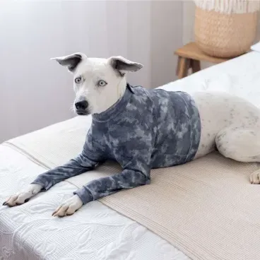 Pet-deitado-na-cama-e-usando-o-Protetor-para-Membros-Anterior-e-Peito-para-Caes-Pet-Med