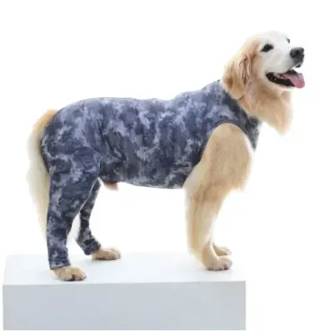 Pet-de-lado-usando-o-Protetor-para-Membros-Posteriores-para-Caes-Pet-Med