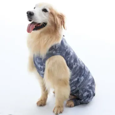 Pet-sentado-de-frente-e-usando-o-Protetor-para-Membros-Posteriores-para-Caes-Pet-Med