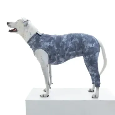 Pet-de-lado-usando-Protetor-para-Membros-Posteriores-para-Caes-Pet-Med