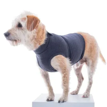 Pet-com-Colete-Calm-Pet-para-Caes-Pet-Med-Chumbo-detalhes-do-peito