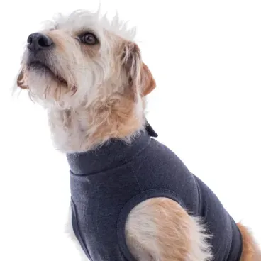 Pet-de-frente-usando-Colete-Calm-Pet-para-Caes-Pet-Med-Chumbo