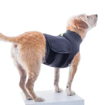 Pet-de-costas-usando-o-Colete-Calm-Pet-para-Caes-Pet-Med-Chumbo--1-