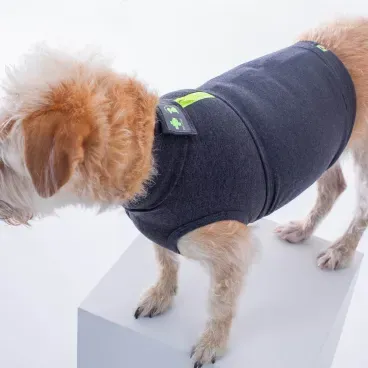 Pet-de-costas-usando-o-Colete-Calm-Pet-para-Caes-Pet-Med-Chumbo