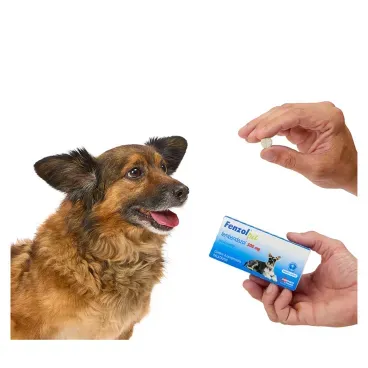 5-Vermifugo Fenzol Pet 500mg para Caes 6 comrprimidos