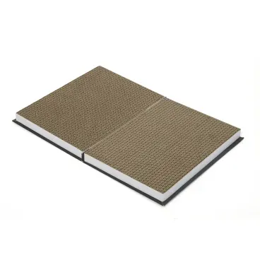 Arranhador-Livro-com-Catnip-Savana-Aberto