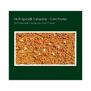 Racao-Nutropica-para-Calopsitas-com-Frutas-300g-foto-de-detalhe-dos-graos