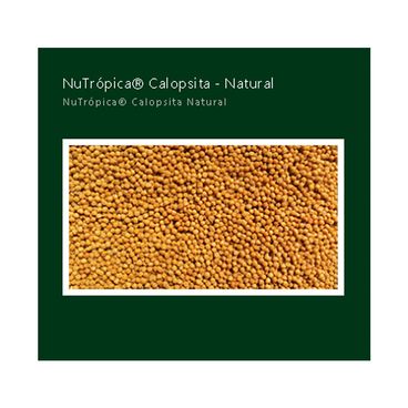 Racao-Nutropica-Extrusado-Natural-para-Calopsitas-300g-foto-de-detalhe-dos-graos-da-racao