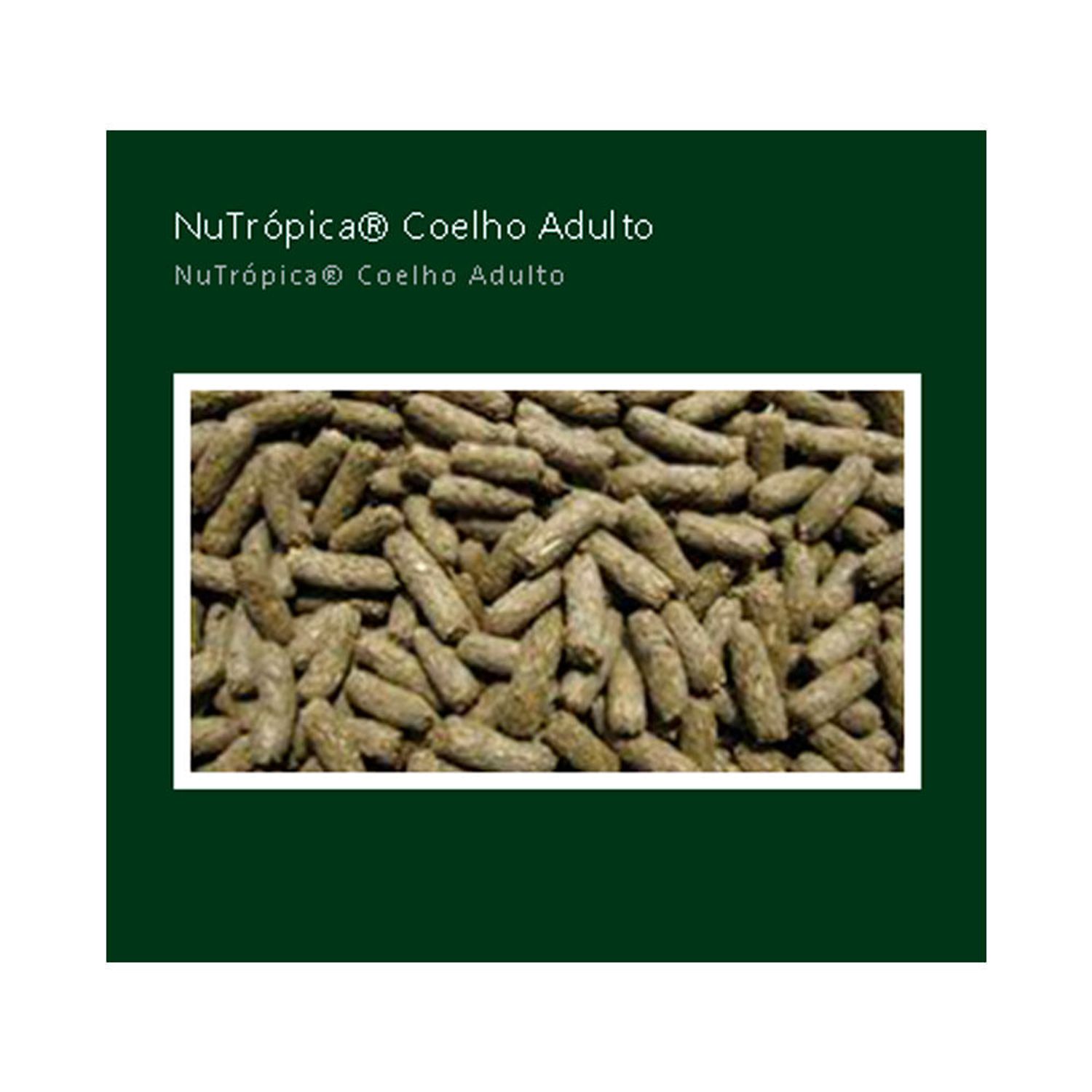Racao-Nutropica-para-Coelho-Adulto-Super-Premium-500g-foto-de-detalhe-dos-graos-da-racao