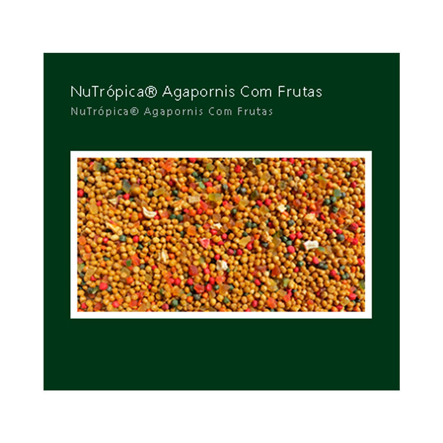 Racao-Nutropica-para-Agapornis-com-Frutas-300G-foto-de-detalhe-dos-graos-da-racao
