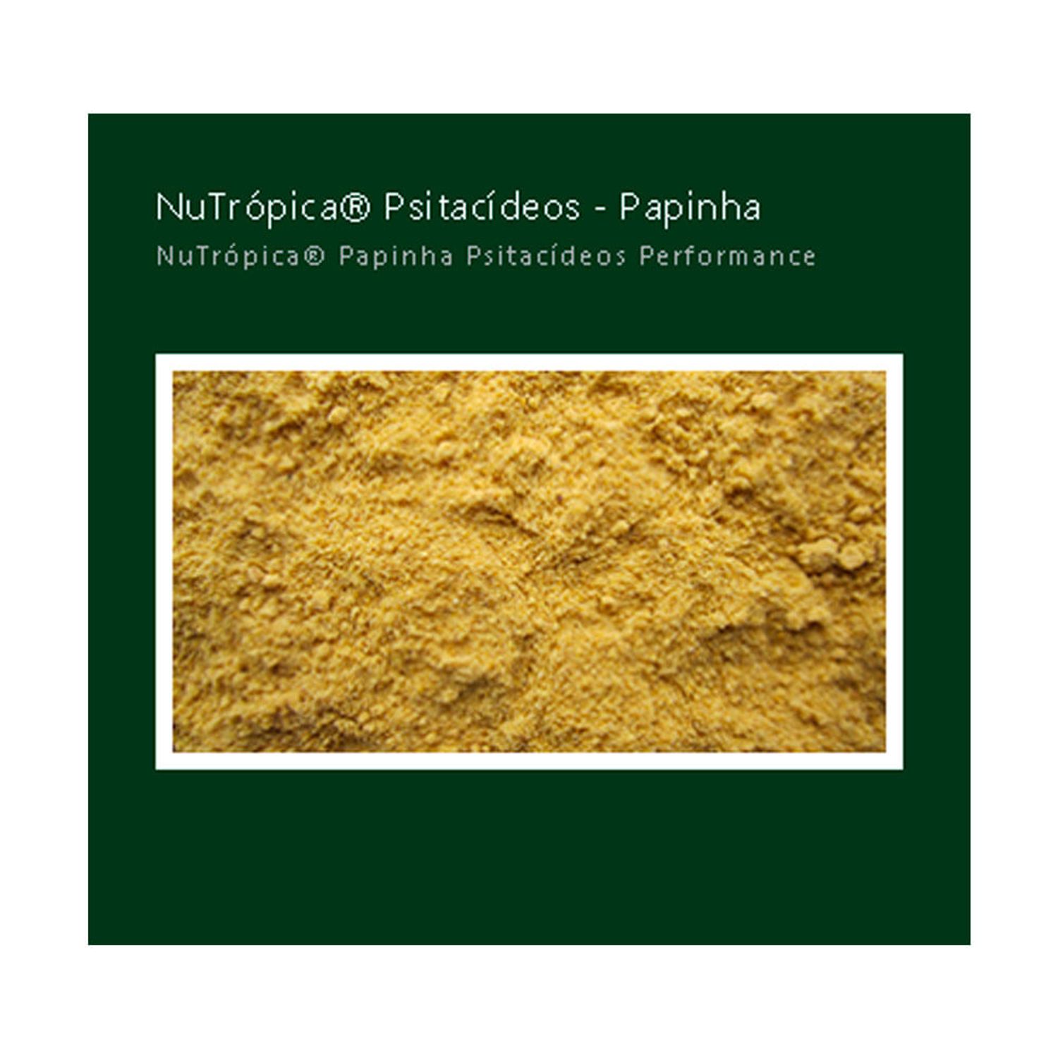 Racao-Nutropica-Papinha-Psitacideos-500G-foto-de-detalhe-da-papinha