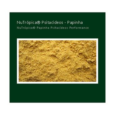 Racao-Nutropica-Papinha-Psitacideos-500G-foto-de-detalhe-da-papinha