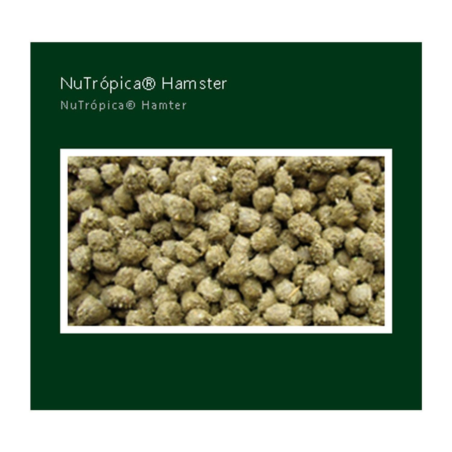 Racao-Extrusada-Nutropica-para-Hamster-300g-foto-de-detalhe-dos-graos