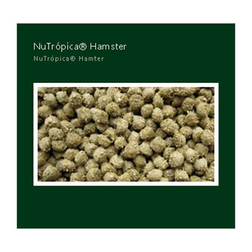 Racao-Extrusada-Nutropica-para-Hamster-300g-foto-de-detalhe-dos-graos