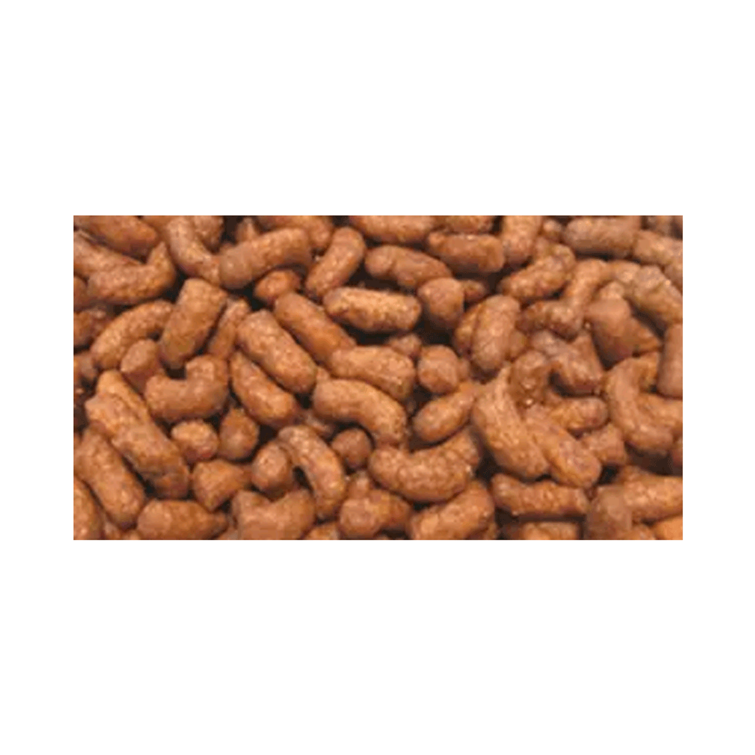 Racao-Nutropica-para-Ferret-5Kg-foto-de-detalhe-dos-graos-da-racao