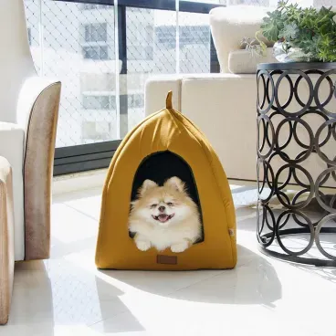 Cabana-Flat-Fabrica-Pet-Mostarda-com-pet-dentro