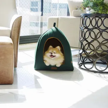 Cabana-Flat-Fabrica-Pet-Verde-com-pet-dentro