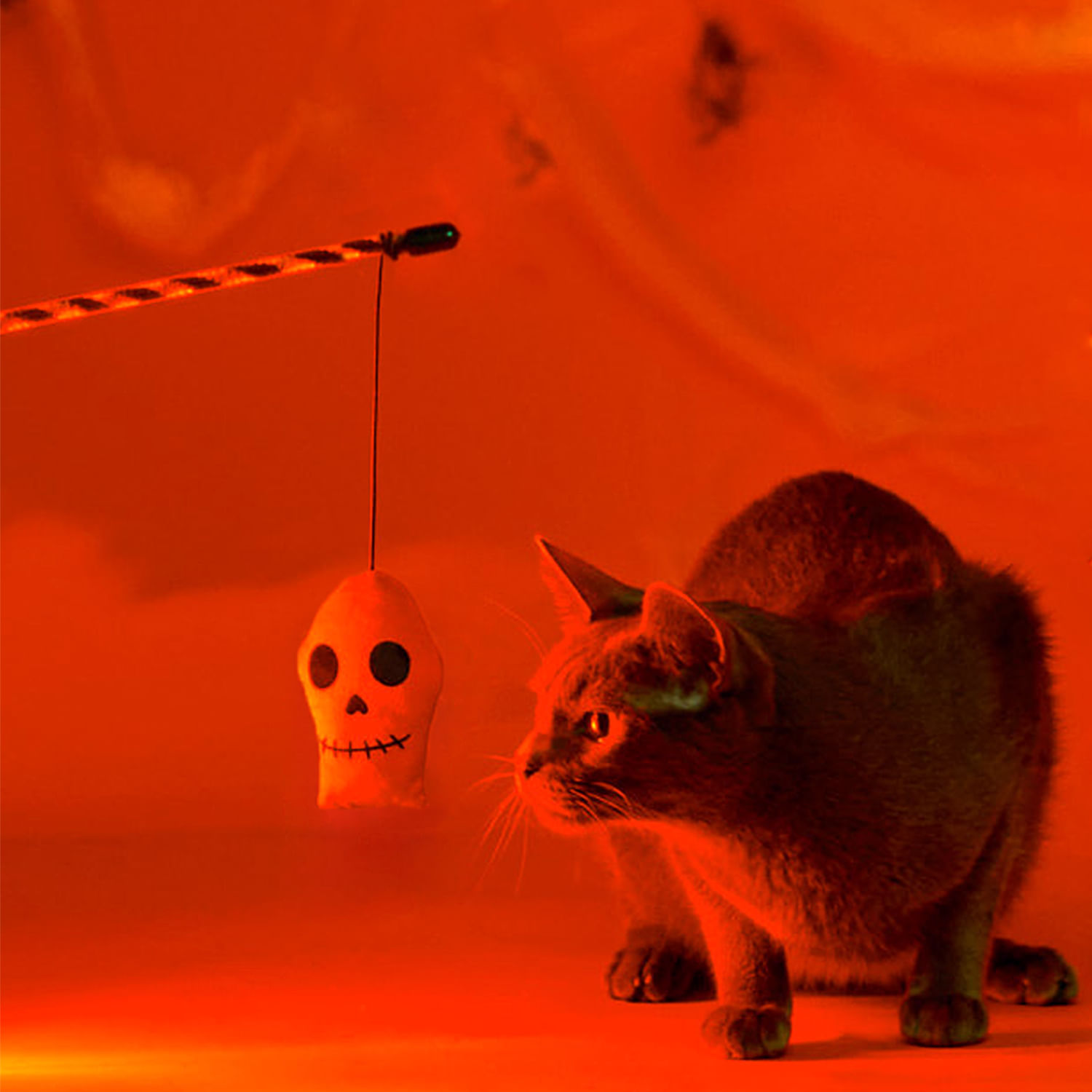 Brinquedo-Varinha-com-Caveira-Savana-unico-gato-com-a-varinha