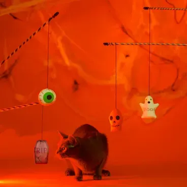 Brinquedo-Varinha-com-Lapide-Savana-unico-gato-brincando-com-as-varinhas-de-halloween