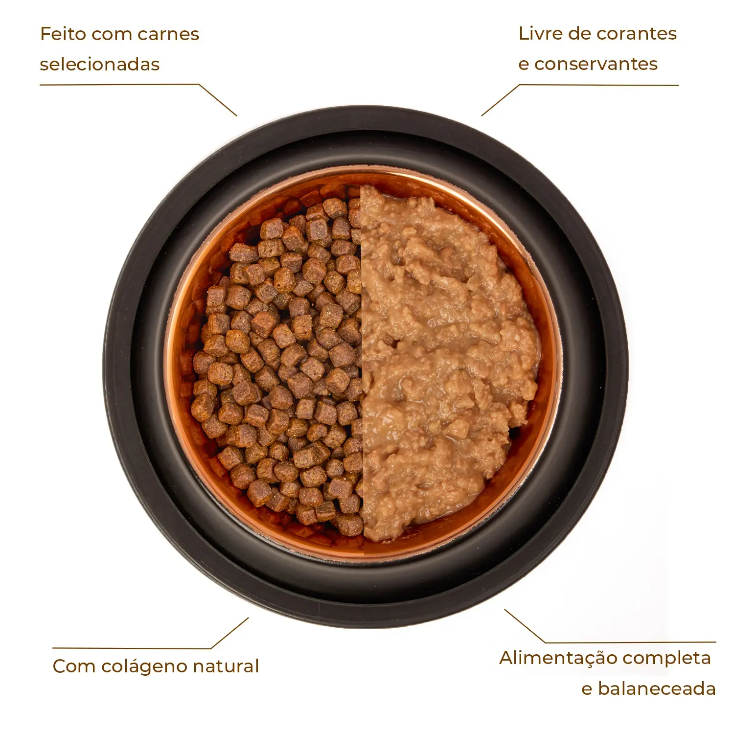 Racao-Umida-Joy-Pate-para-Caes-Adultos-Carne-e-Vegetais-280g-foto-de-comparativo-da-racao-umida-e-de-uma-racao-em-graos-com-especificacoes-dos-beneficios