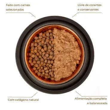 Racao-Umida-Joy-Pate-para-Caes-Adultos-Carne-e-Vegetais-280g-foto-de-comparativo-da-racao-umida-e-de-uma-racao-em-graos-com-especificacoes-dos-beneficios