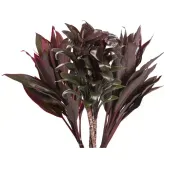 Maco Folhagem Dracena Variado Planta Natural