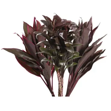 MACO-FOLHAGEM-DRACENA