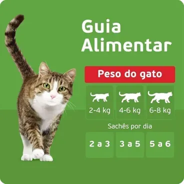 Racao-Umida-KiteKat-Sache-para-Gatos-Adultos-Frango-ao-Molho-70g-foto-de-guia-alimentar-por-peso-do-gato