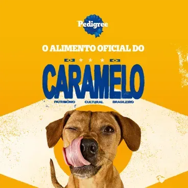 Biscoito-Pedigree-Biscrok-para-Caes-Adultos-Racas-Pequenas-Leite-150g-foto-de-cachorro-caramelo