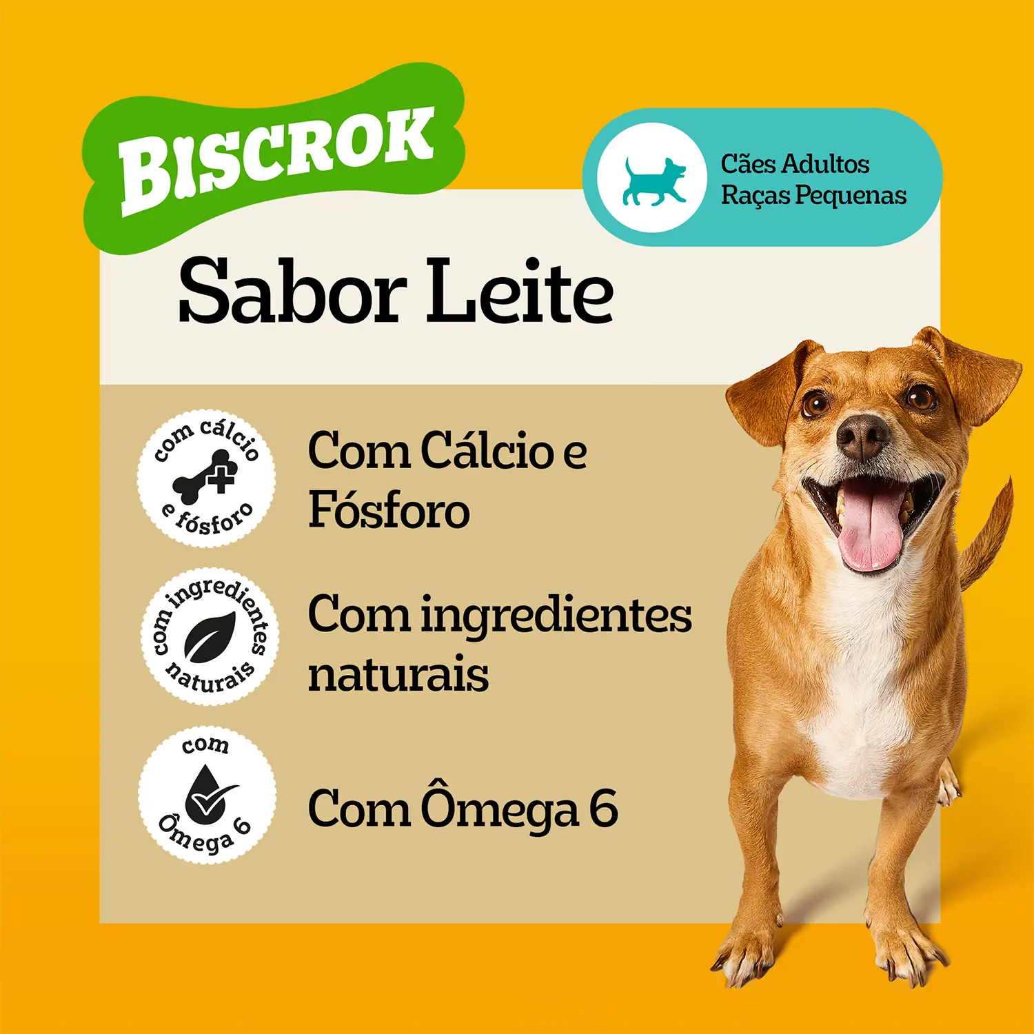 Biscoito-Pedigree-Biscrok-para-Caes-Adultos-Racas-Pequenas-Leite-500g-foto-com-especificacoes-de-sabor-e-beneficios