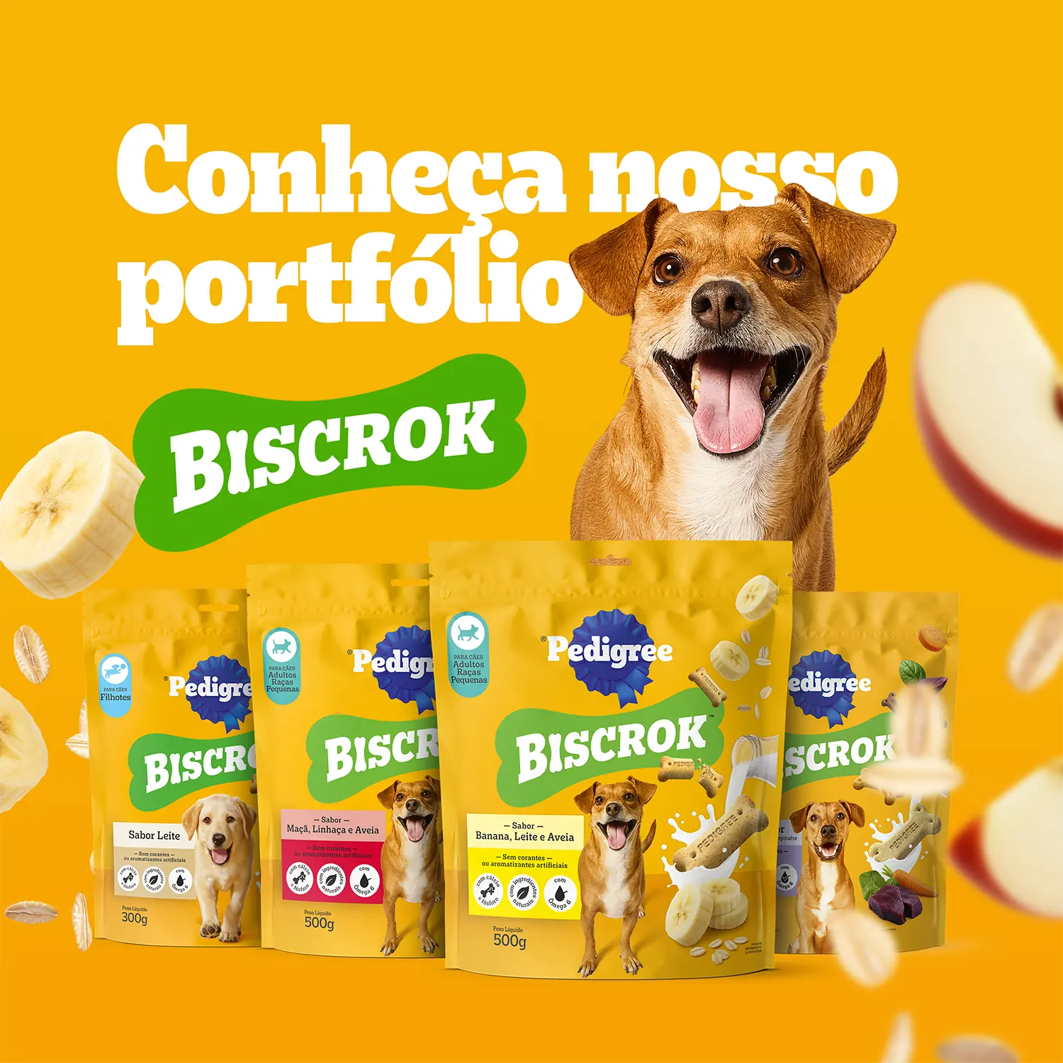 Biscoito-Pedigree-Biscrok-para-Caes-Adultos-Racas-Pequenas-Leite-1Kg-foto-da-linha-completa-de-biscoitos-