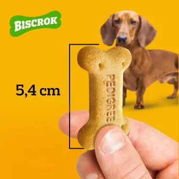 Biscoito-Pedigree-Biscrok-para-Caes-Adultos-Multi-1Kg-foto-de-mao-segurando-o-biscoito-e-mostrando-o-tamanho