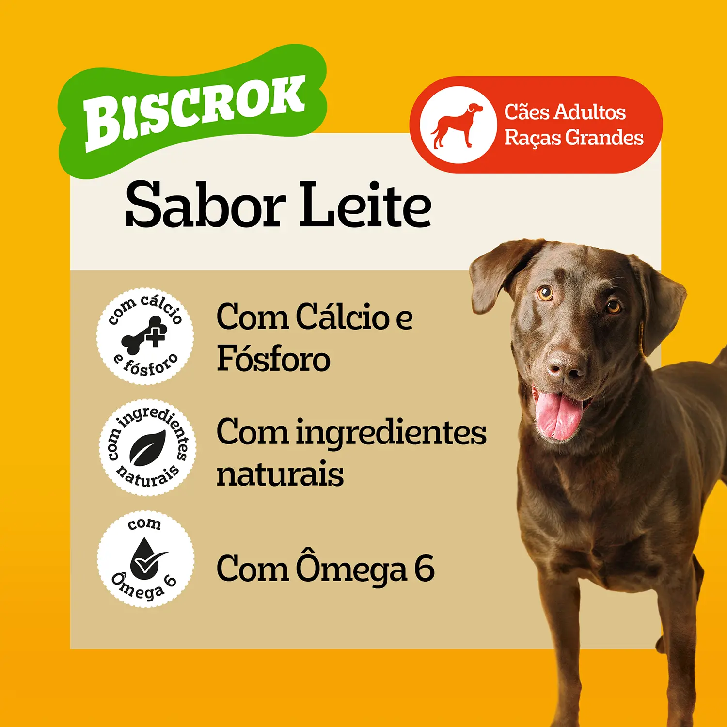 Biscoito-Pedigree-Biscrok-para-Caes-Adultos-Racas-Grandes-Leite-1Kg-foto-com-especificacoes-de-sabor-e-beneficios