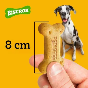 Biscoito-Pedigree-Biscrok-para-Caes-Adultos-Racas-Grandes-Leite-1Kg-foto-de-mao-segurando-o-biscoito-com-demonstracao-de-tamanho
