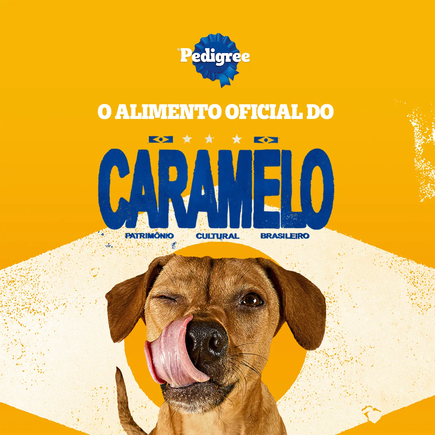 Biscoito-Pedigree-Biscrok-para-Caes-Filhotes-Leite-300g-foto-de-cachorro-caramelo