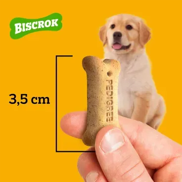 Biscoito-Pedigree-Biscrok-para-Caes-Filhotes-Leite-300g-foto-de-mao-segurando-o-biscoito-com-demonstracao-de-tamanho