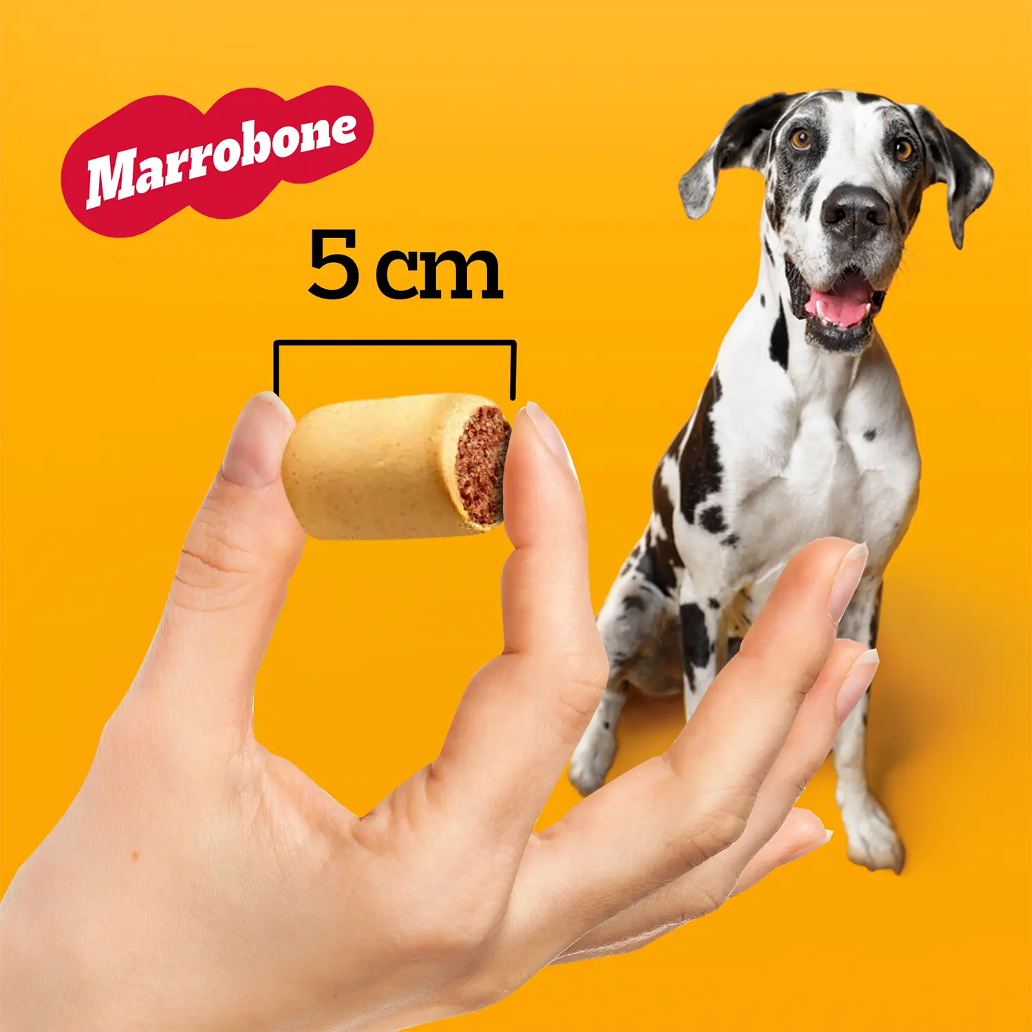 Biscoito-Pedigree-Marrobone-para-Caes-Adultos-Carne-500g-foto-de-mao-com-biscoito-e-demonstracao-de-tamanho