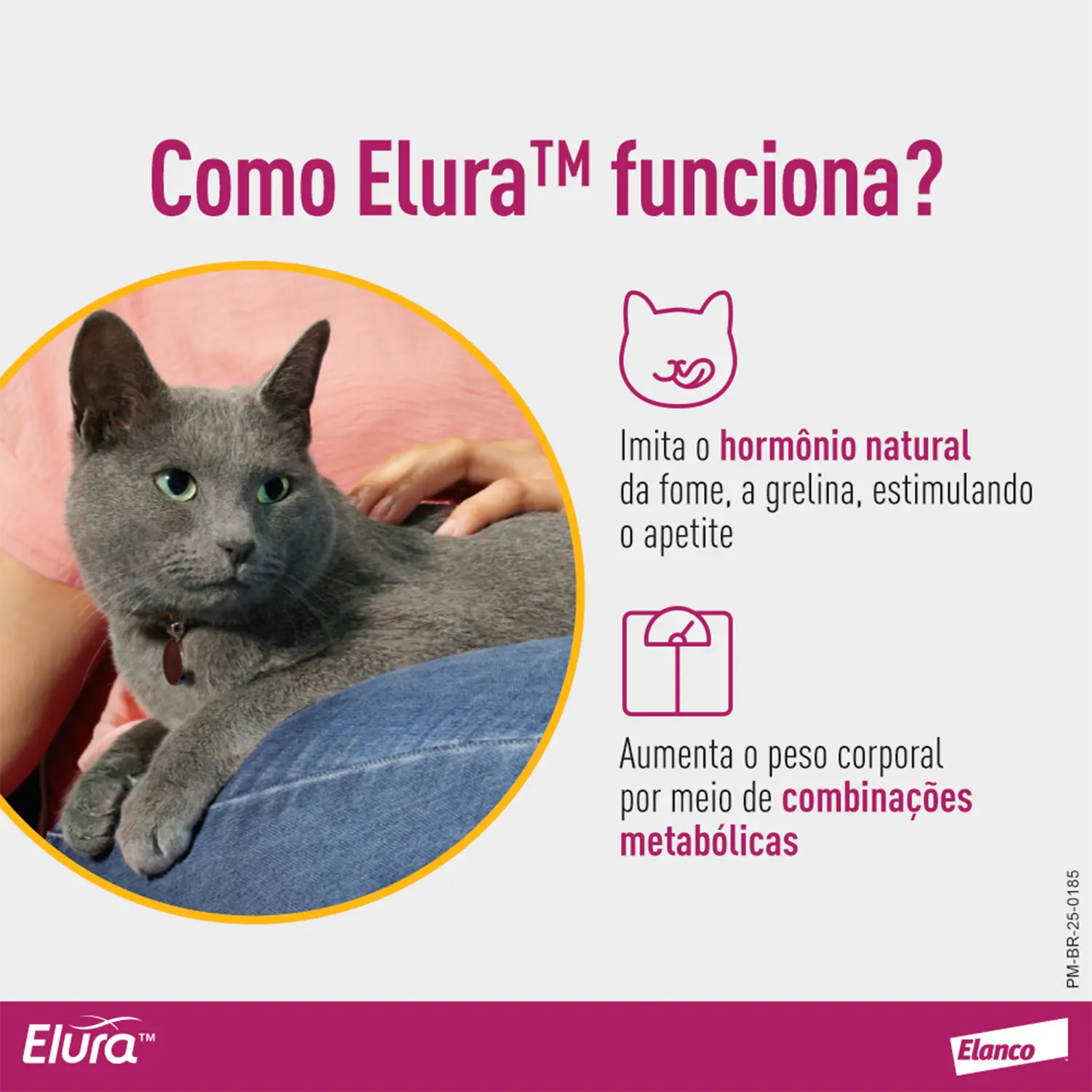 Elura Solução Oral para Gatos 20mg/ml