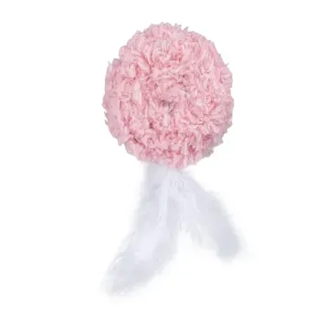 Brinquedo-Pelucia-para-Gatos-Bola-com-Penas-2-Unidades-Flicks-bolinha-rosa