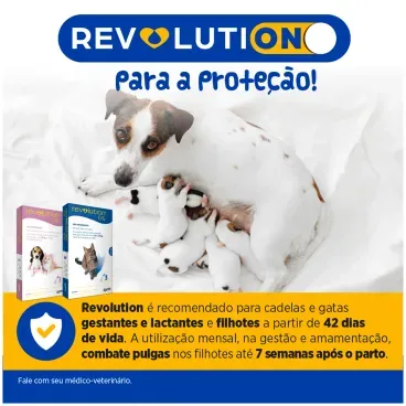 1-Antipulgas Revolution 6- Imagem complementar 3 pipetas