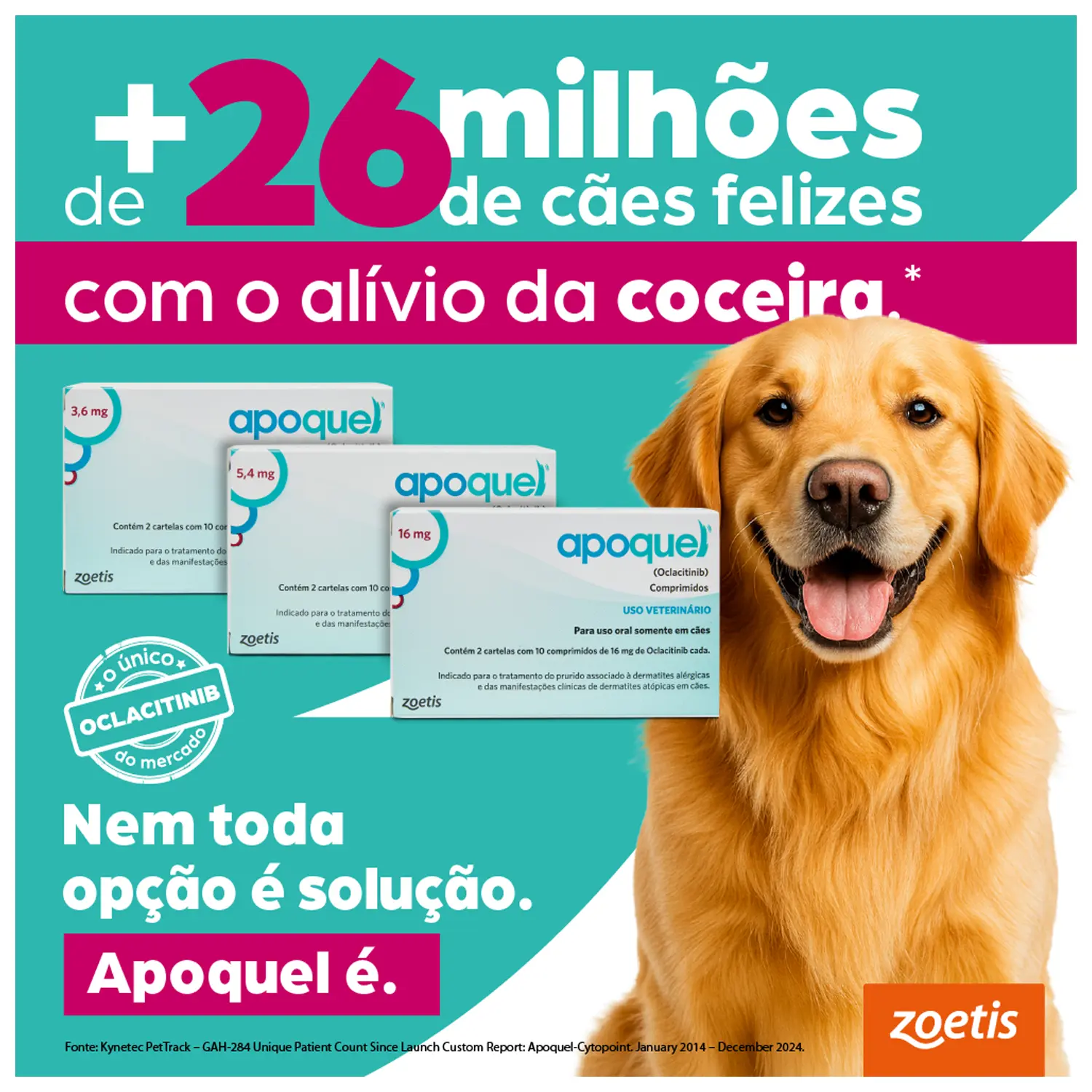 Apoquel 3,6 mg - Tratamento para coceira em Cães